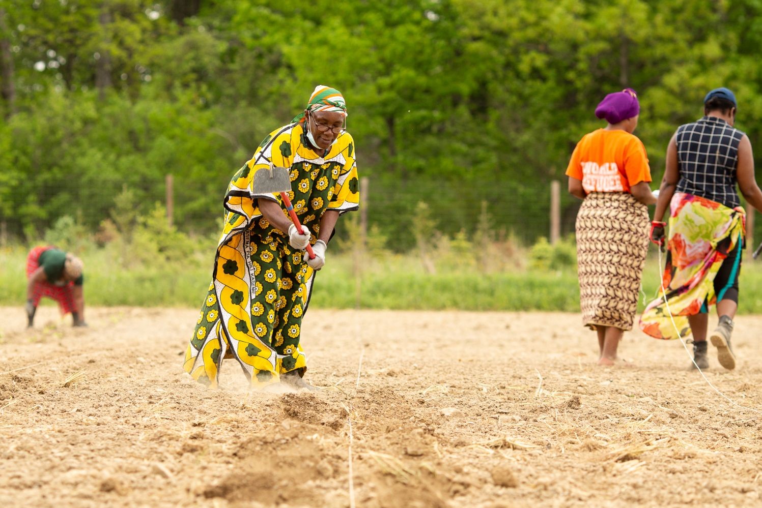 Members of Burundian Community at Providence Farm Collective planting seeds