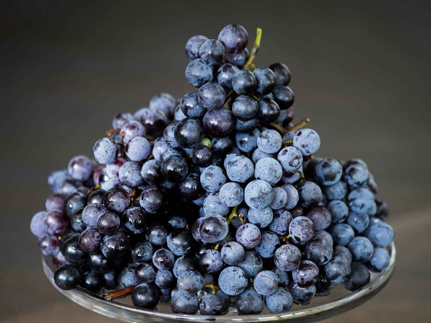 Concord grapes | Edible Western NY