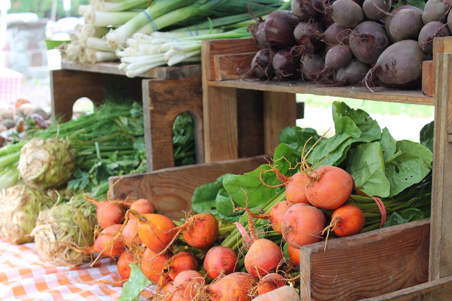 Fal produce at the Alfred Farmers Market