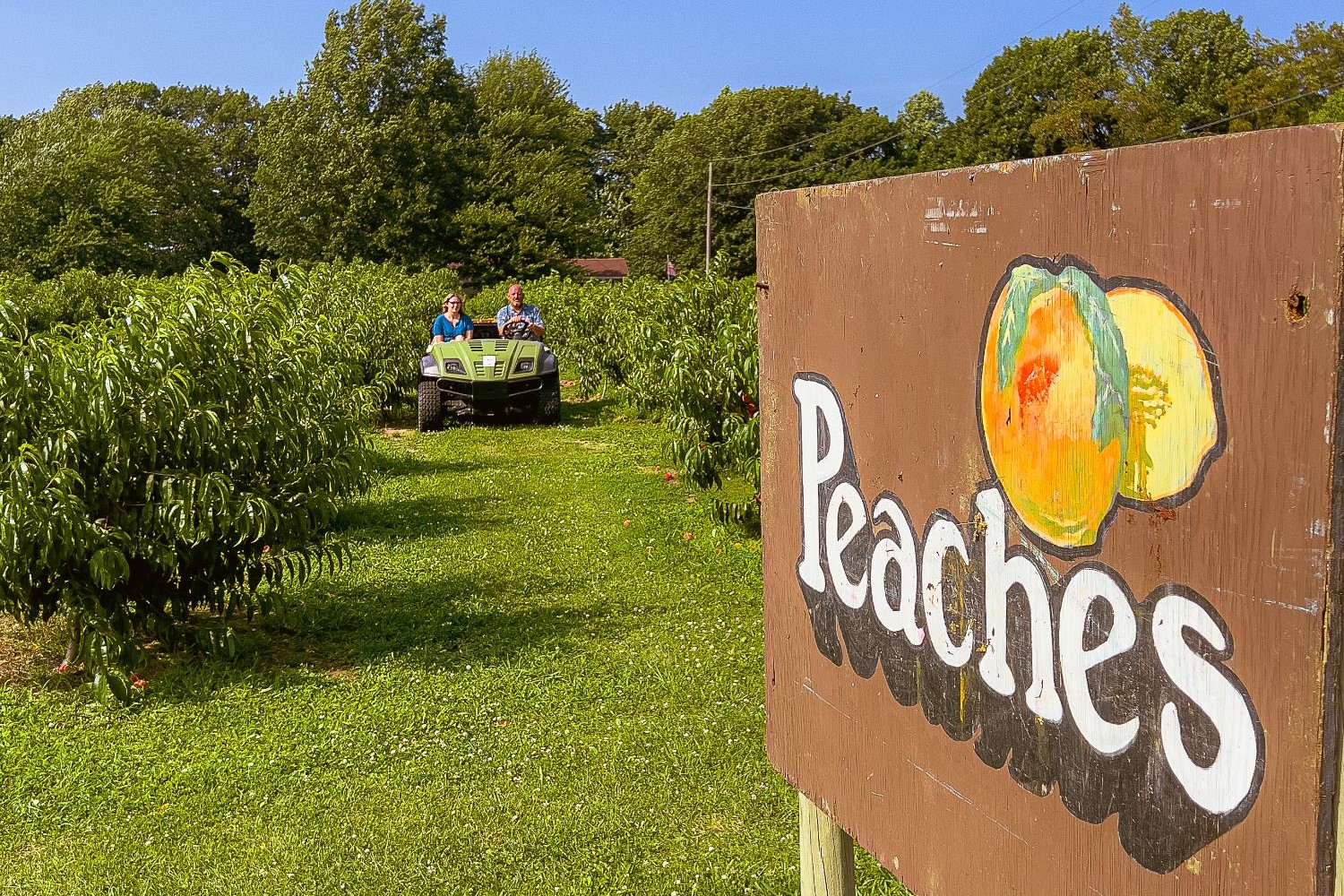 Stage's Peach Farm in North East, PA.