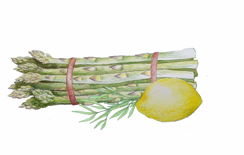 Illustrations of asparagus with lemon and tarragon