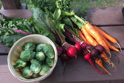 Carrots, beets and Brussels sprouts