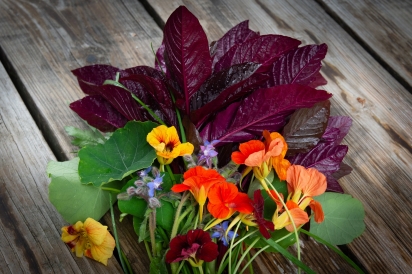 Bouquet of edible flowers