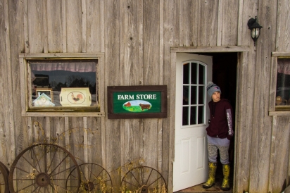 Farm Store at Parable Farm in Ripley, NY