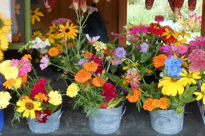Flowers by Hickory Hurst Farm
