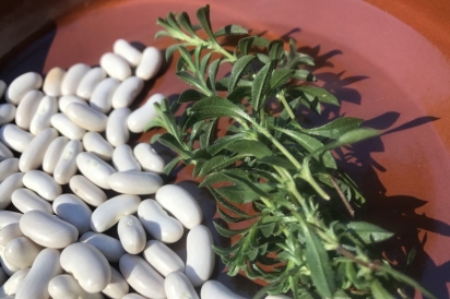 Winter savory and cannellini beans