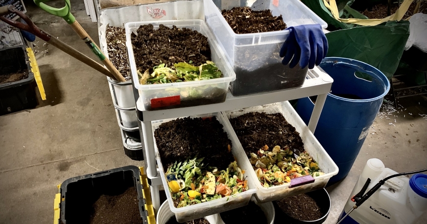 Bins of food waste and compost