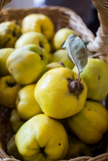Quince | Edible Western NY