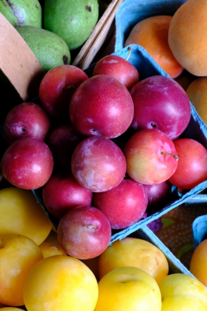 Fresh plums from Rahal Farms in North East, PA