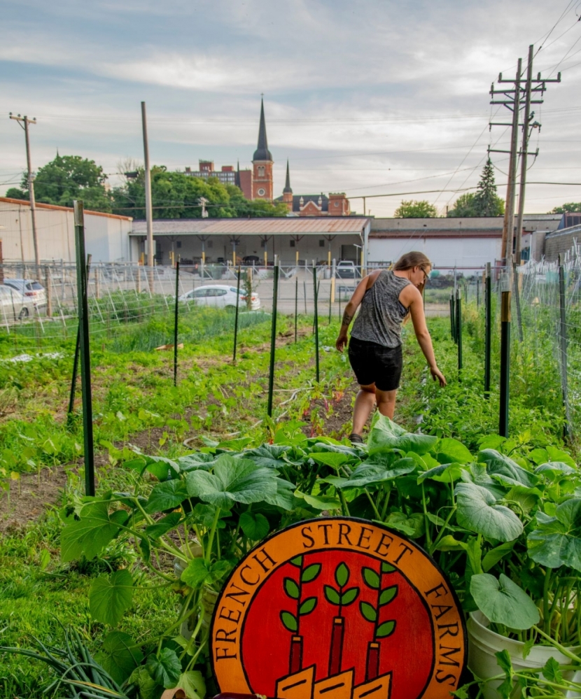 Urban Farm | French Street Farms | Erie, PA | Edible Western NY