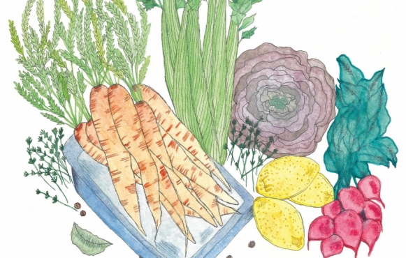 Vegetable illustrations by India Seychew