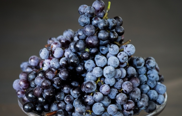 Concord grapes | Edible Western NY