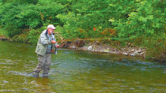 Trout fishing in Western New York tributary stream 