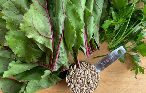 Beet greens and sunflower seeds | Beet Green Pesto | Edible Western NY Fall