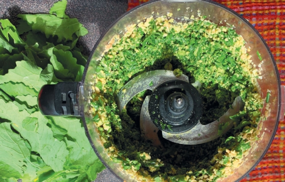 Broccoli Rabe Vegan Pesto | Edible Western NY Fall