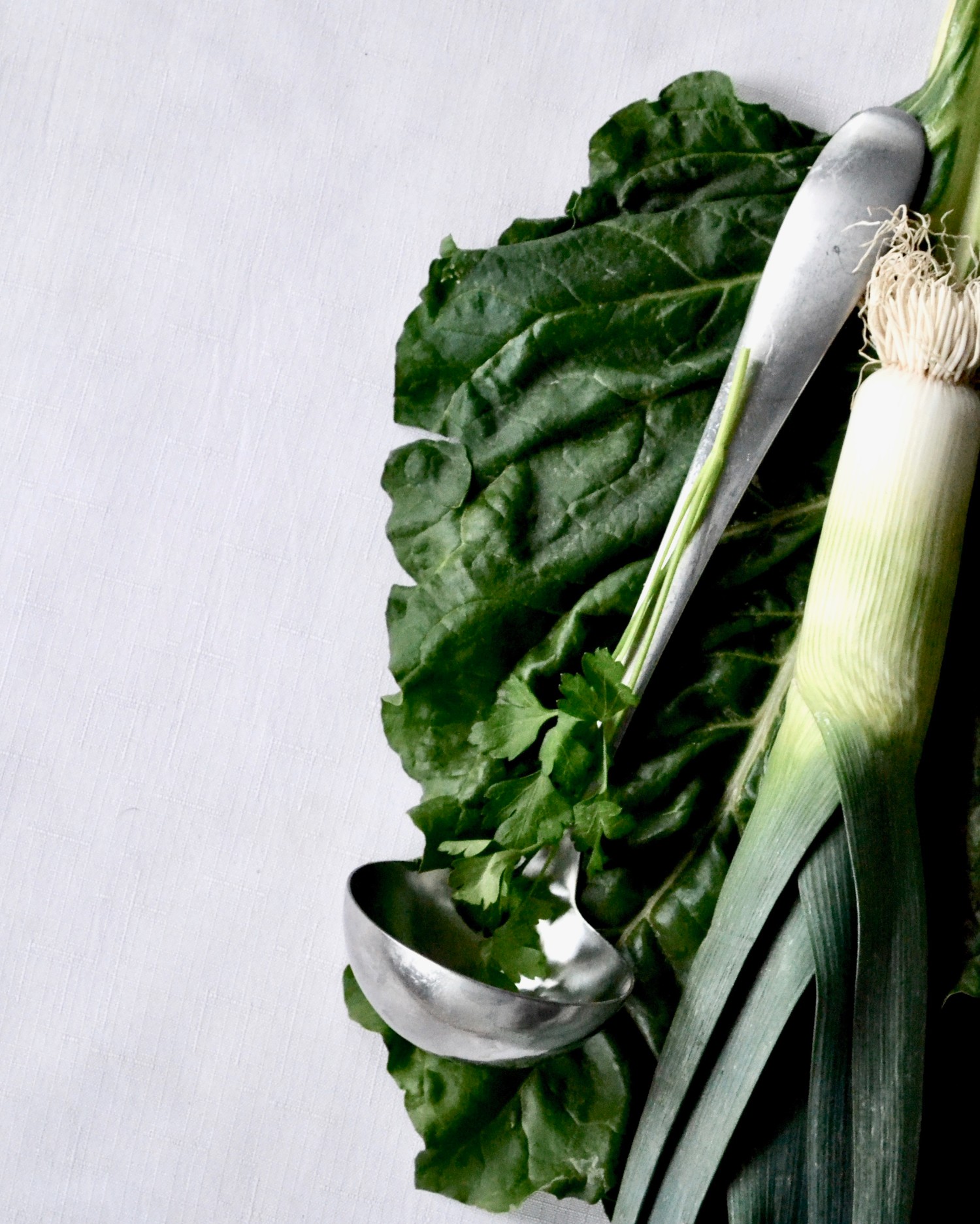 Springtime veggie and white bean soup