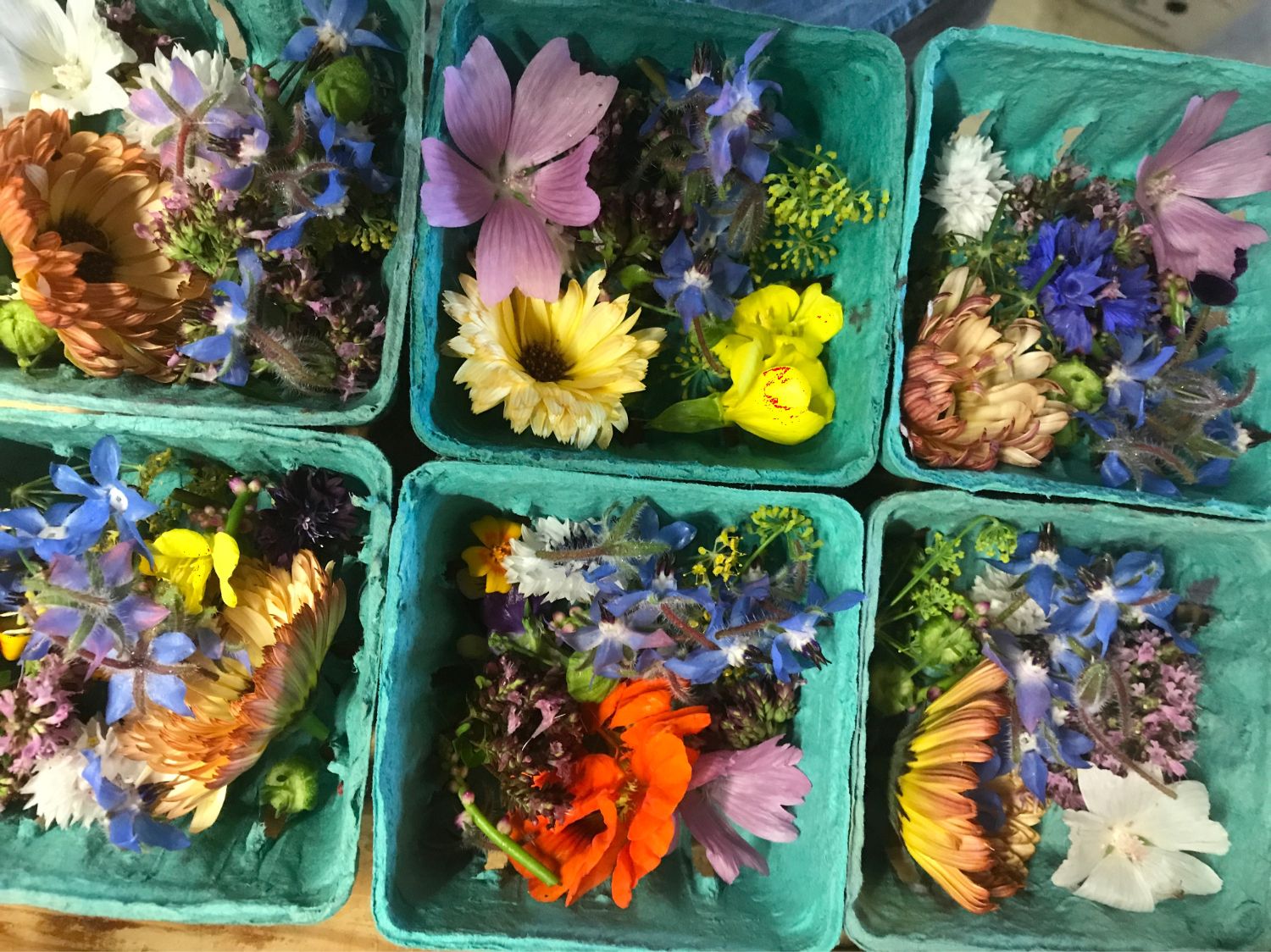 Edible Flowers | Edible Western NY