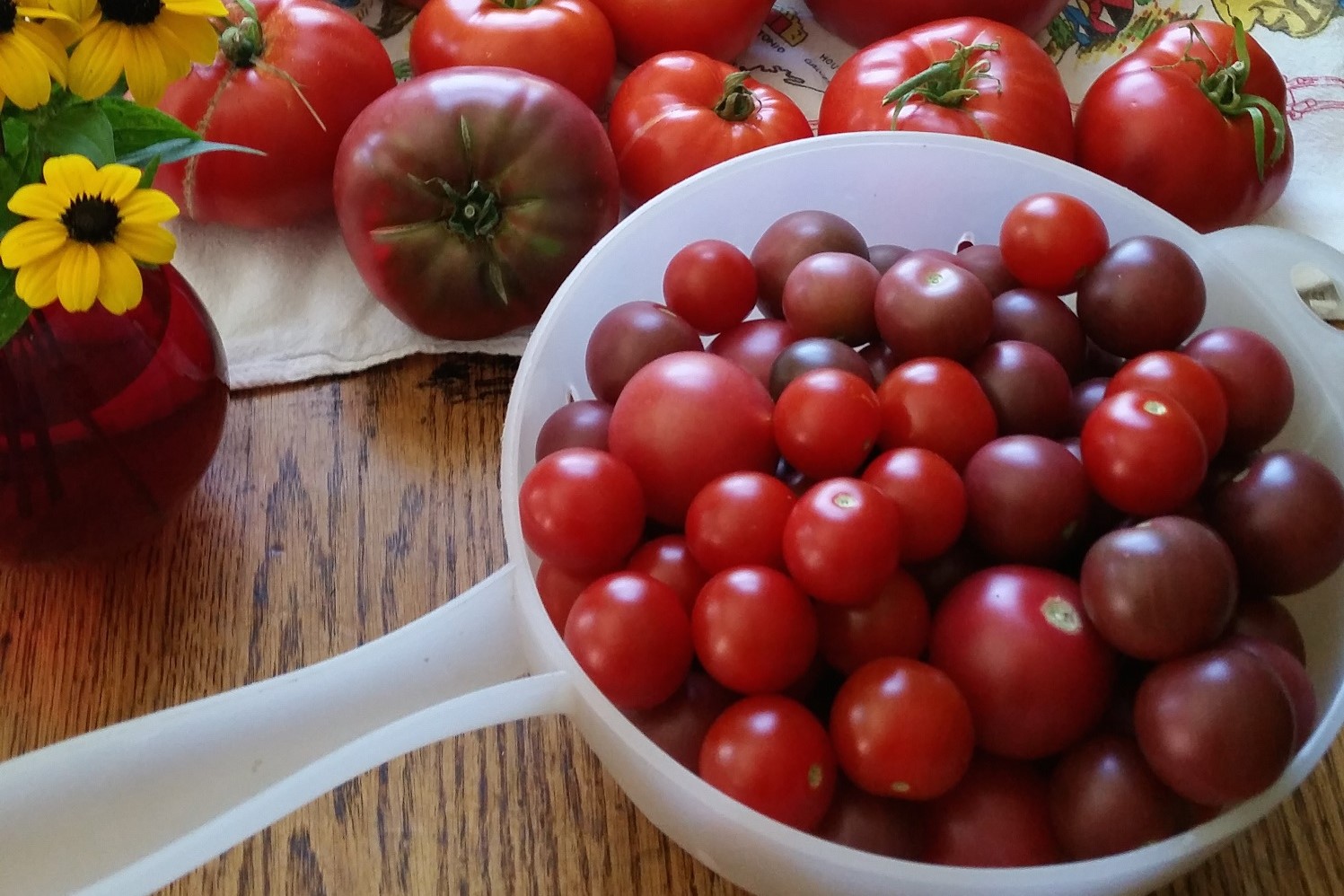 Tomatoes 1.jpg