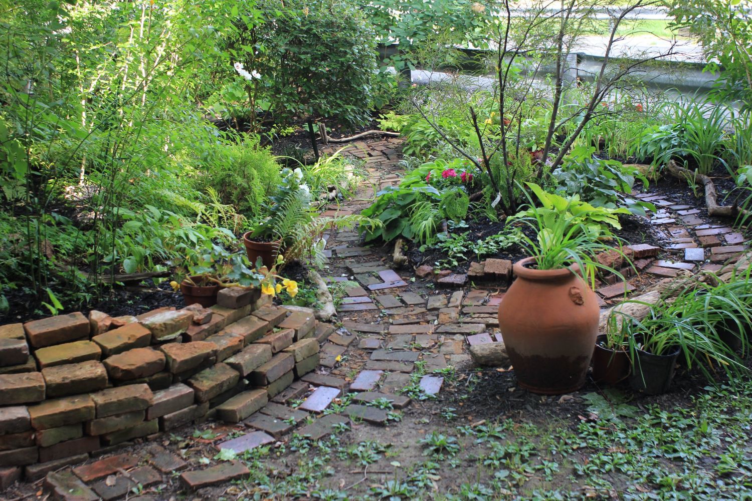 West Utica Community Garden | Grassroots Gardens WNY | Edible Western NY