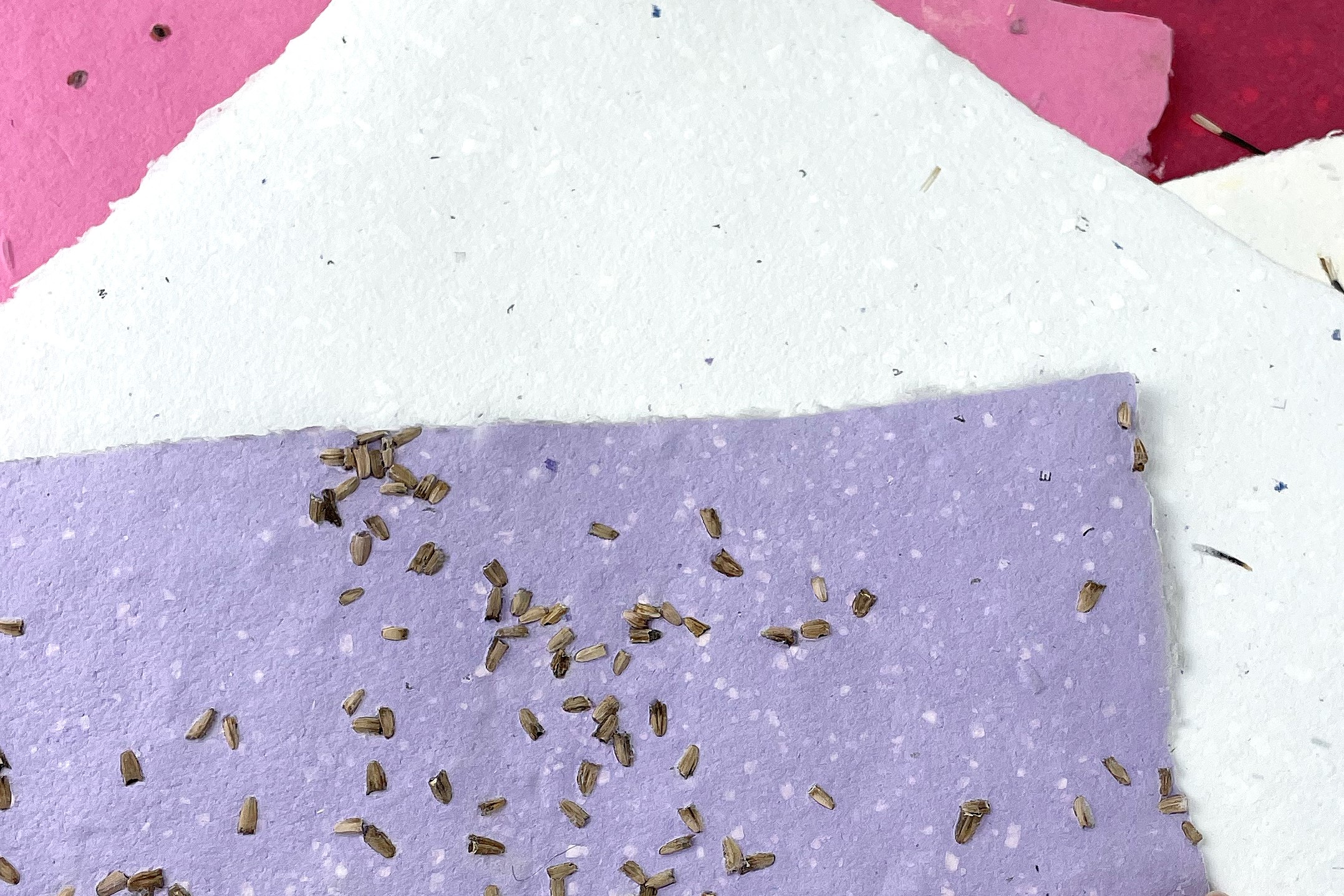Seeded paper by Papercraft Miracles